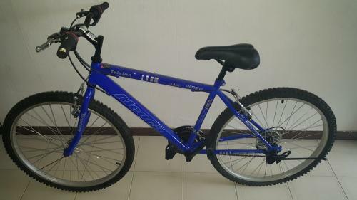 2x Aleoca Mountian Bike for sale (NEW Condition) blue/red