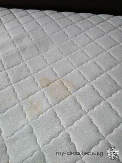Steam & Shampooing of Carpet, Sofa & Mattress