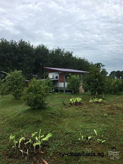 Sale Nice Land with smaller House with Durian Farm among nature closed long river Chantaburi
