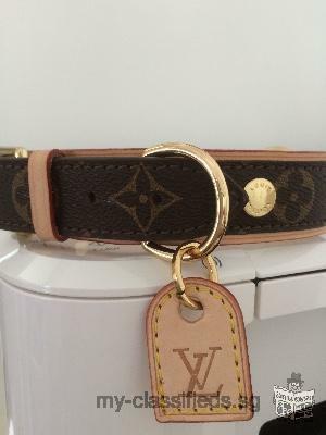 Louis Vuitton dog collar BAXTER MM Medium Size brand NEW