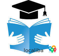 Top IB Tutors for IB IA and Extended Essay writing all subjects